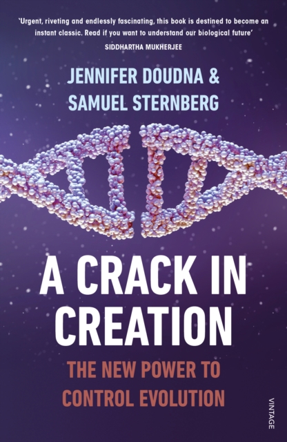 Crack in Creation