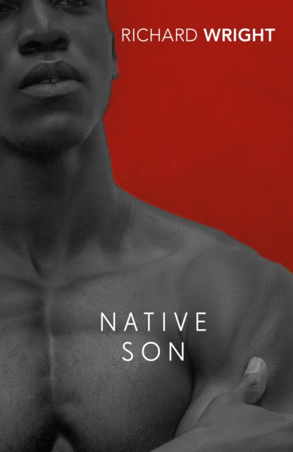 Native Son (Vintage Classics)