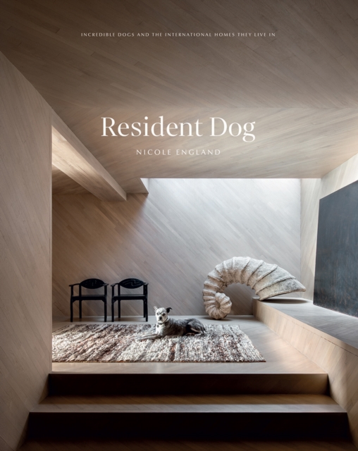 Resident Dog (Volume 2)