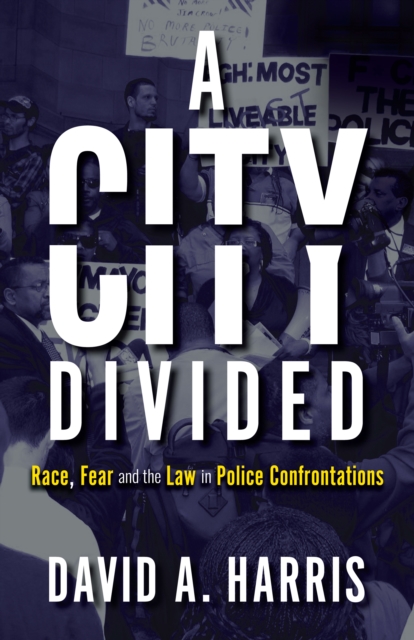 City Divided: Race, Fear and the Law in Police Confrontations