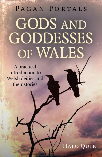 Pagan Portals - Gods and Goddesses of Wales - A practical introduction to Welsh deities and their stories