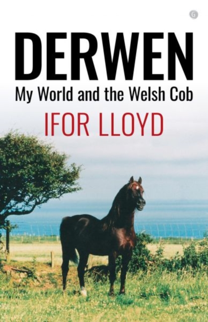 Derwen - My World and the Welsh Cob