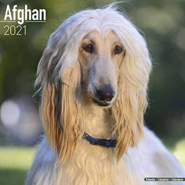 Afghan 2021 Wall Calendar