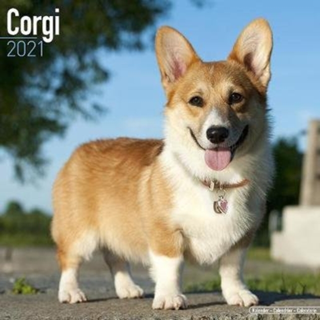 Corgi 2021 Wall Calendar