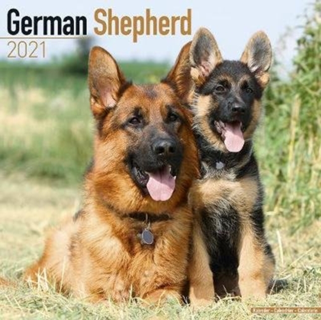 German Shepherd 2021 Wall Calendar