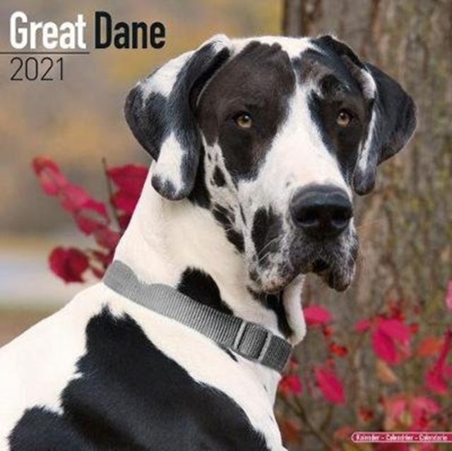 Great Dane 2021 Wall Calendar