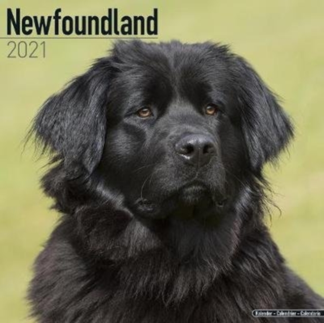 Newfoundland 2021 Wall Calendar
