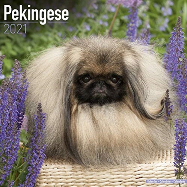 Pekingese 2021 Wall Calendar