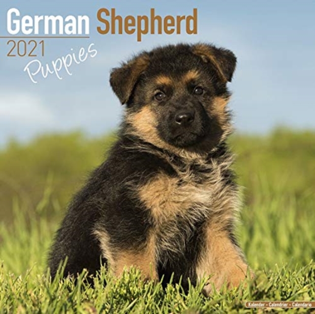 German Shepherd Puppies 2021 Wall Calendar