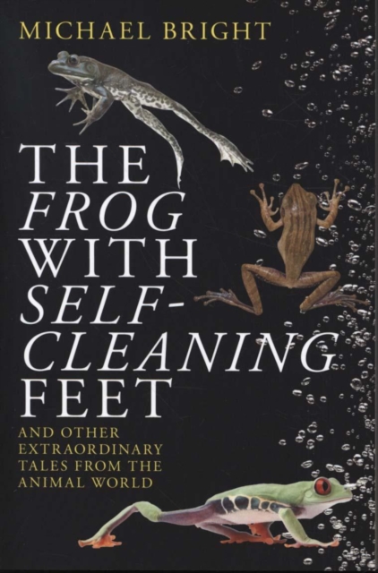 Frog with Self-Cleaning Feet