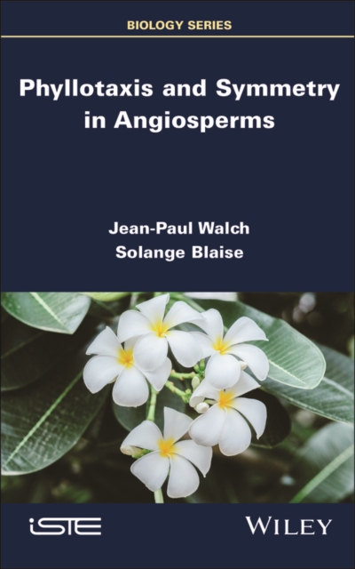 Phyllotaxis and Symmetry in Angiosperms