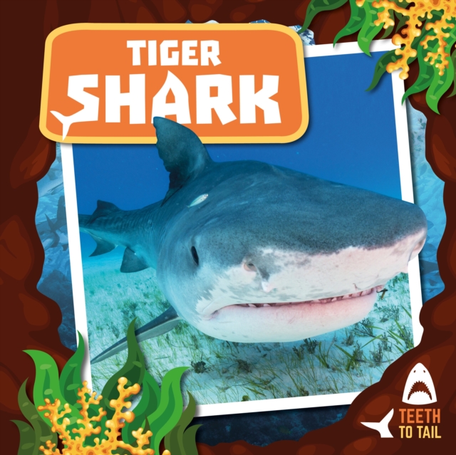Tiger Shark