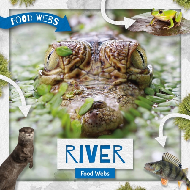 River Food Webs
