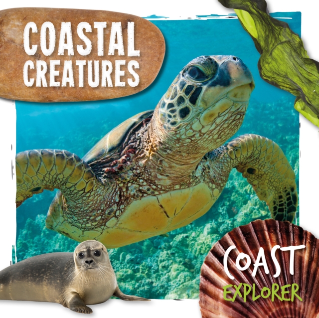 Coastal Creatures