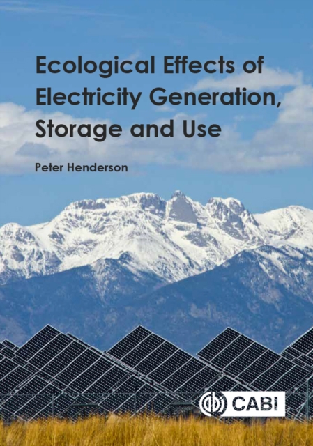 Ecological Effects of Electricity Generation, Storage and Use