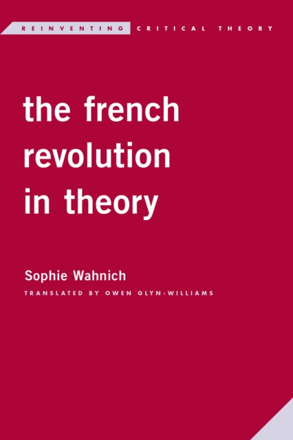 French Revolution in Theory