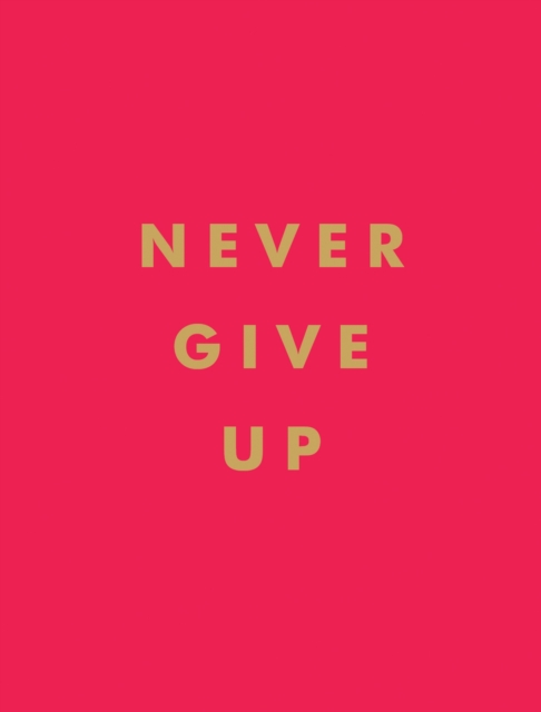 Never Give Up