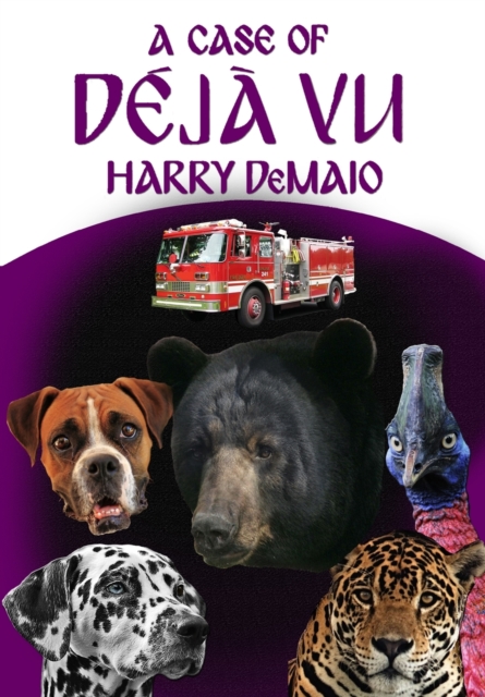 Case of Deja Vu (Octavius Bear Book 13)