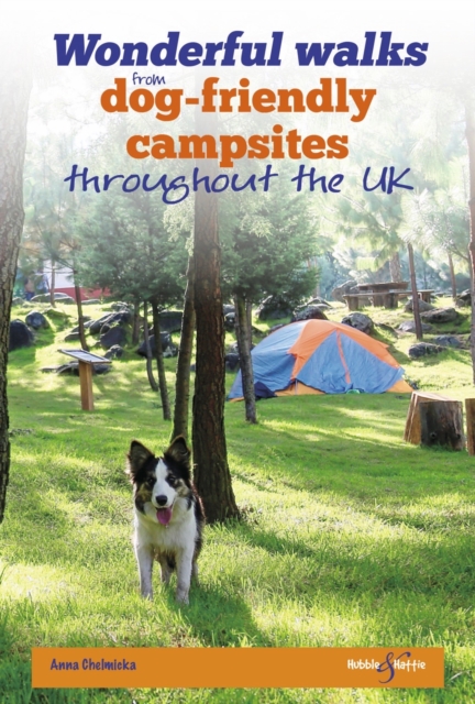Wonderful walks from Dog-friendly campsites throughout Great Britain