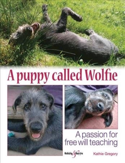 puppy called Wolfie