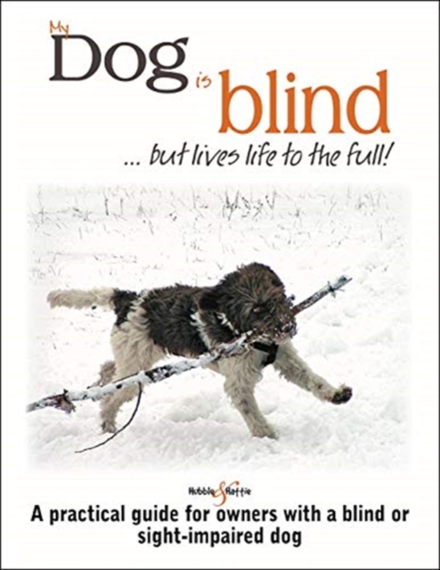 My dog is blind - but lives life to the full!