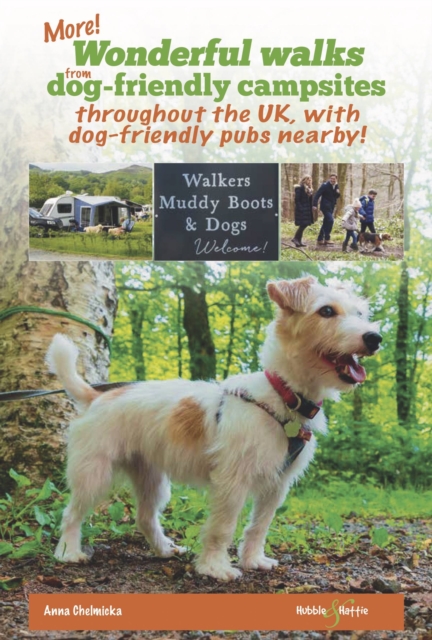 More wonderful walks from dog-friendly campsites throughout the UK ...