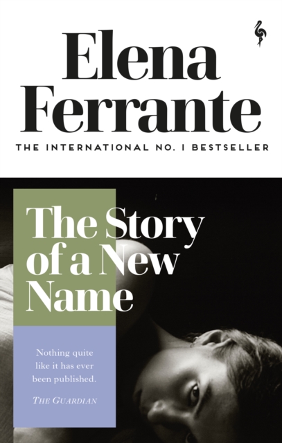 Story of a New Name (Neapolitan Quartet)