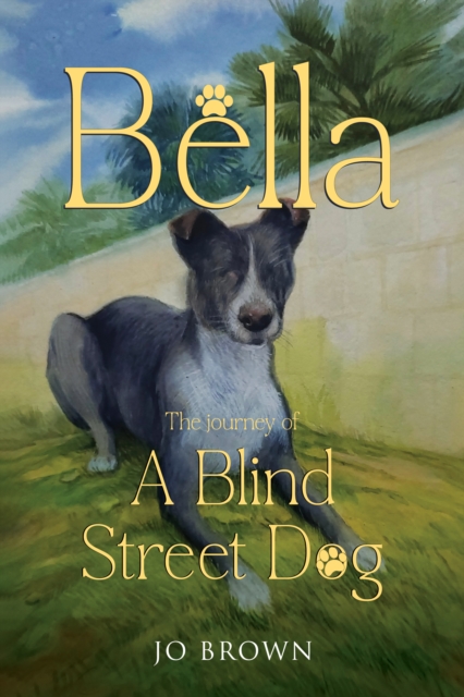 Bella, the journey of A Blind Street Dog
