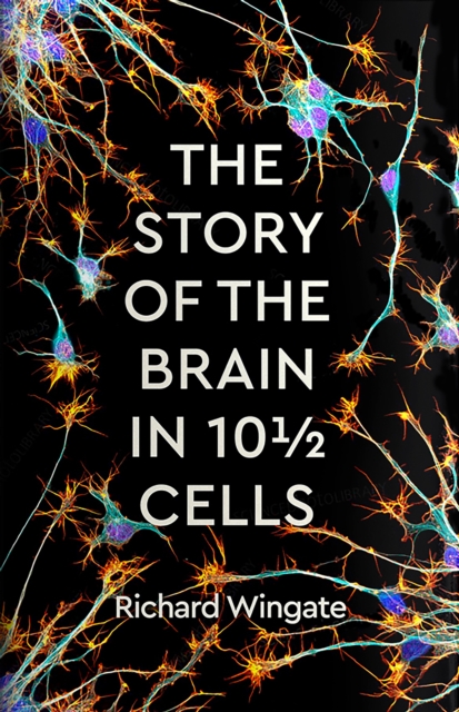 Story of the Brain in 101/2 Cells