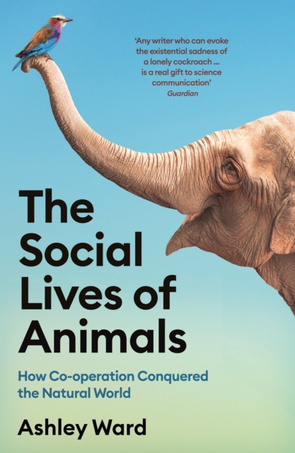 Social Lives of Animals