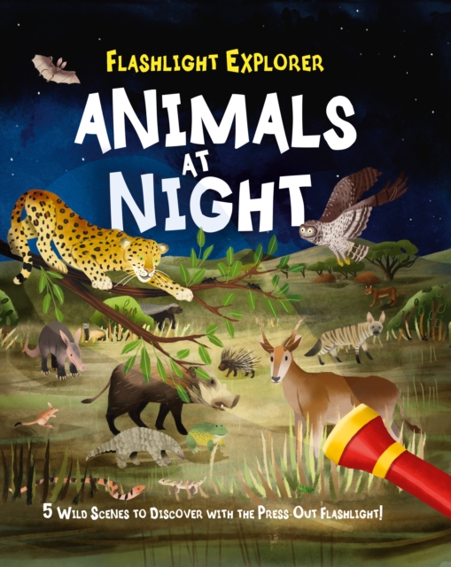 Flashlight Explorers: Animals at Night