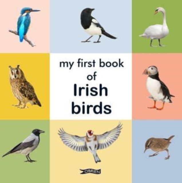 My First Book of Irish Birds