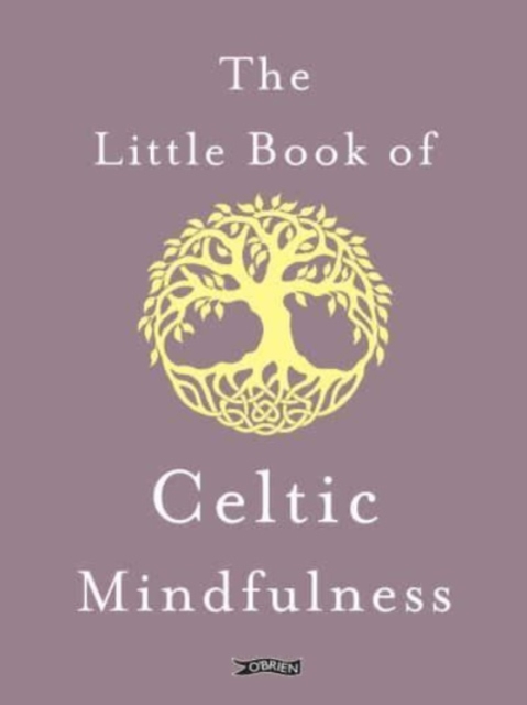 Little Book of Celtic Mindfulness