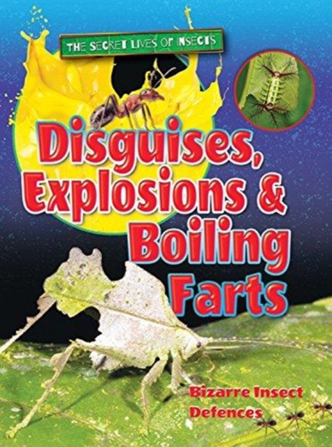 Disguises, Explosions and Boiling Farts