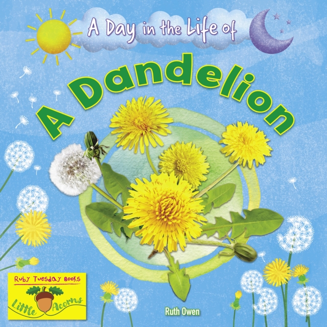 A Dandelion