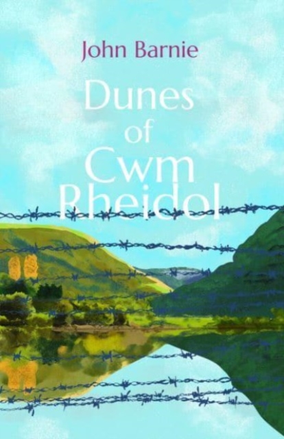 Dunes of Cwm Rheidol