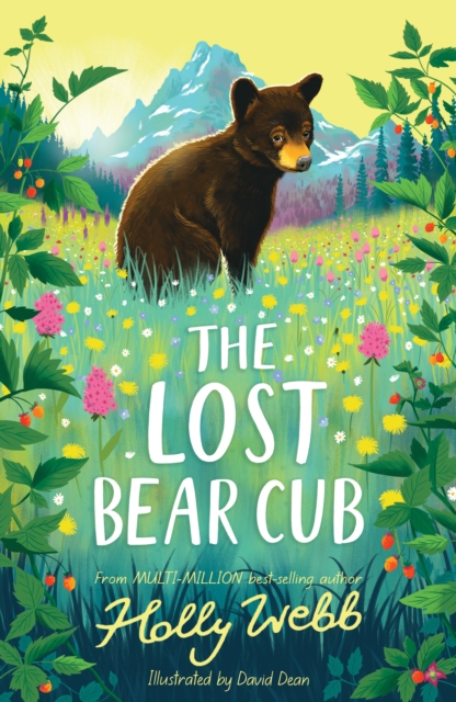 Lost Bear Cub