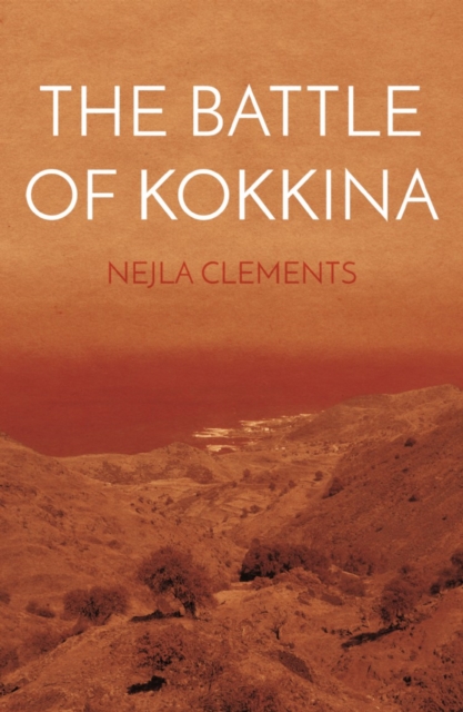 Battle of Kokkina