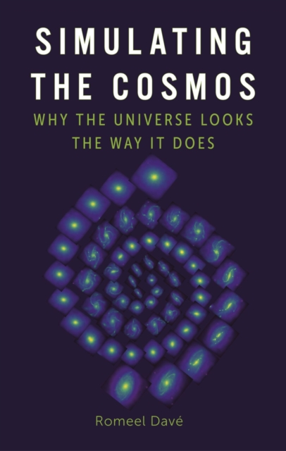 Simulating the Cosmos