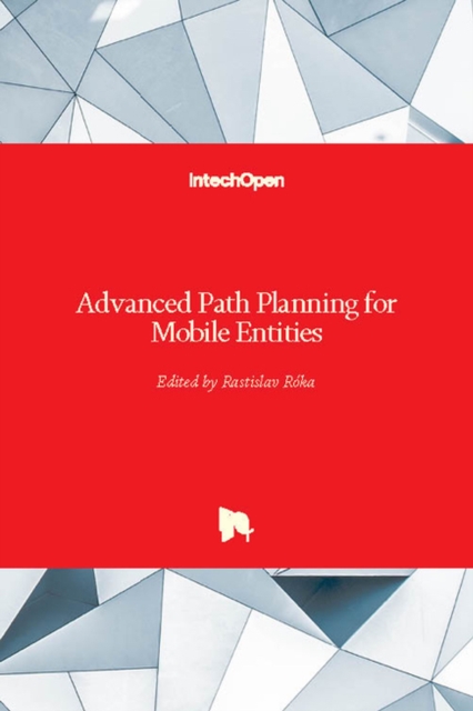 Advanced Path Planning for Mobile Entities