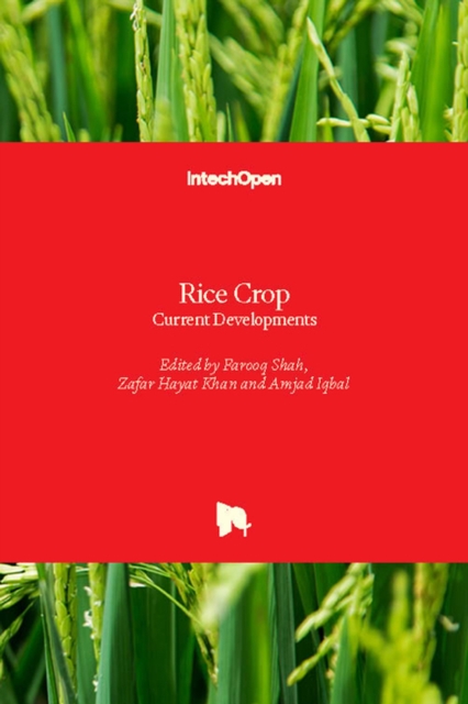 Rice Crop