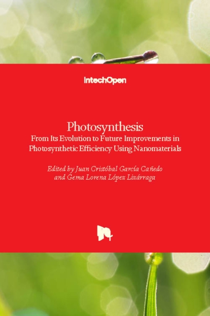 Photosynthesis