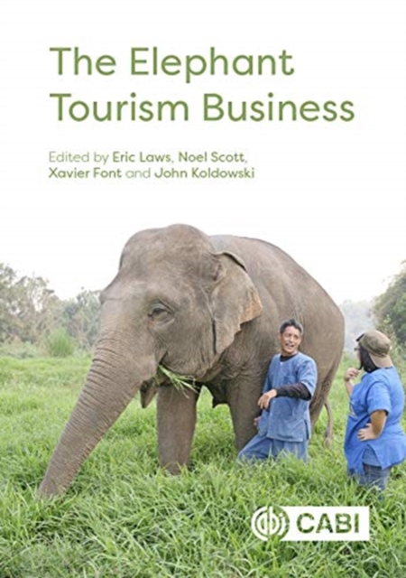 Elephant Tourism Business
