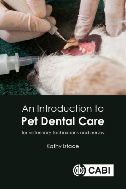 Introduction to Pet Dental Care