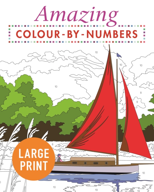 Amazing Colour-by-Numbers Large Print