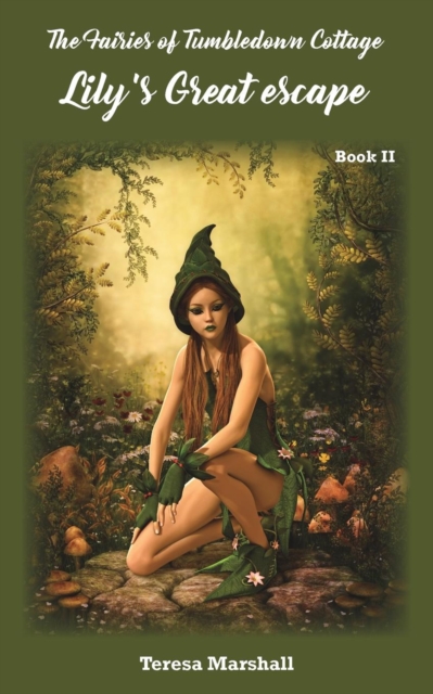 Fairies of Tumbledown Cottage 2: Lily's Great Escape