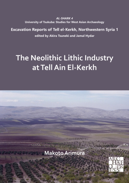 Neolithic Lithic Industry at Tell Ain El-Kerkh