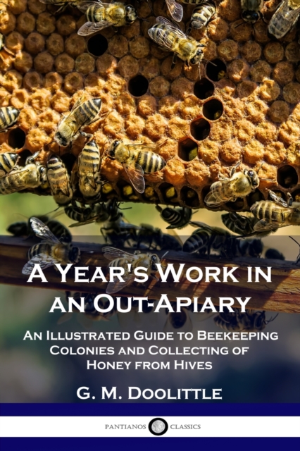 Year's Work in an Out-Apiary