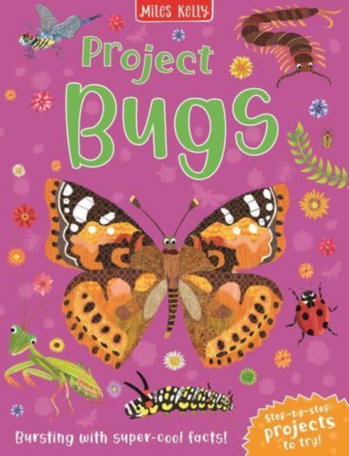 Project Bugs