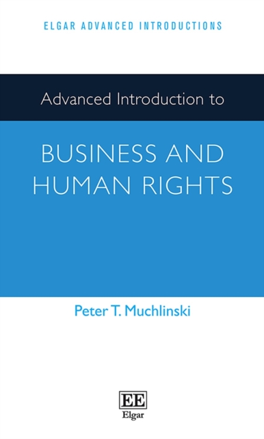 Advanced Introduction to Business and Human Rights